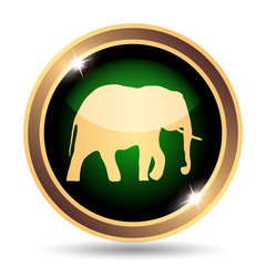 Elephant icon