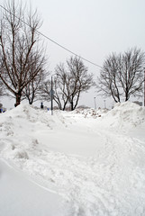 snowdrifts in the street