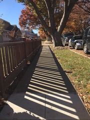 fall fence shadows