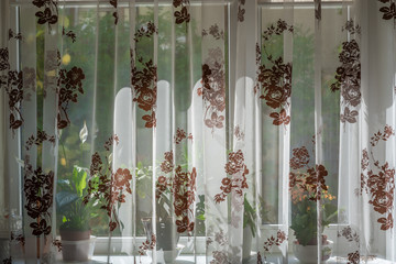 Curtain covers window and windowsill with flowers at noon Noon sunshine. Sunny day behind the curtain.