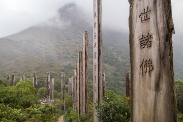 Chinese writings on wooden steles of Wisdom Path at the Lantau Island in Hong Kong, China.