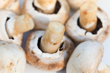 champignons portobello mushrooms on a wooden background