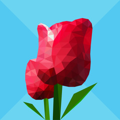 Low polygon red tulip flower with green leaf on light blue backg