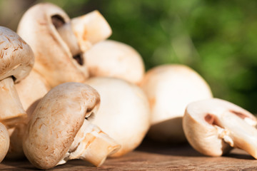 champignons portobello mushrooms on a wooden background