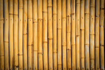 Bamboo texture background