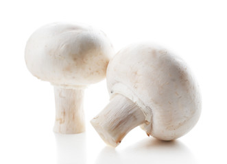 A pair of champignon mushrooms isolated on white background