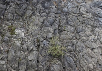 grey rock mountain panorama background - stome texture