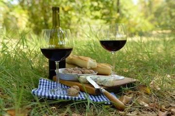 Photo sur Plexiglas Pique-nique Picnic concept - Wine, delicious cheese, walnuts and baguette on wooden board, outdoors