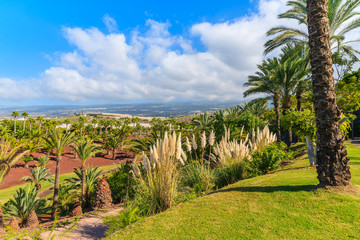 A view of tropical landscape with palm trees on Tenerife, Canary Islands, Spain