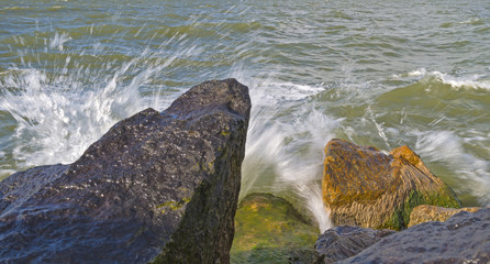 Dike along a lake in summer