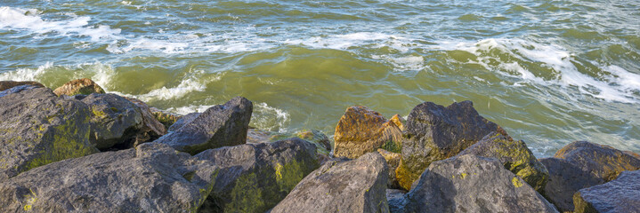 Dike along a lake in summer