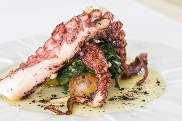 grilled octopus