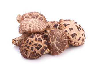 shiitake on white background