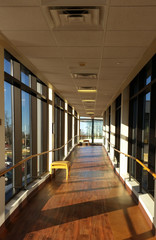 Sunny sky walk between two office buildings