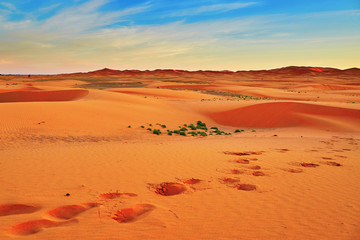 Sand dunes in the Sahara Desert