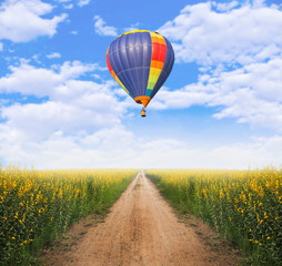 Naklejka premium Hot air balloon over dirt road into yellow flower fields with cl