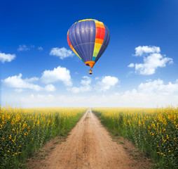 Hot air balloon over dirt road into yellow flower fields with cl