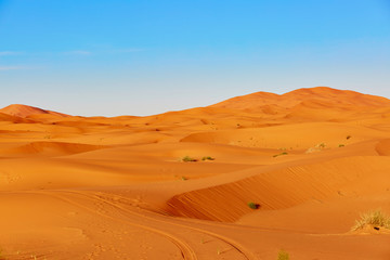 Sand dunes in the Sahara Desert