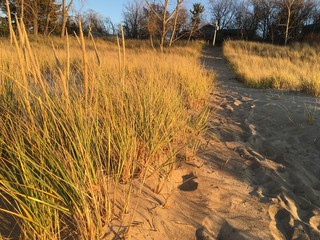 path in the sand