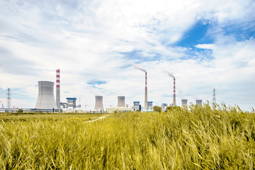 Fototapeta na wymiar grass,skyline,landscape of power plant