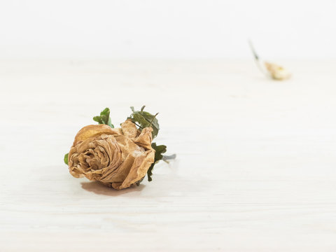 Dry flower on wooden table selective focus with concept of lonel