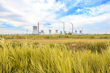 Fototapeta na wymiar grass,skyline and landscape of power plant