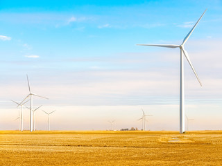 Wind farm renewable energy landscape Midwest USA field Danville Illinois