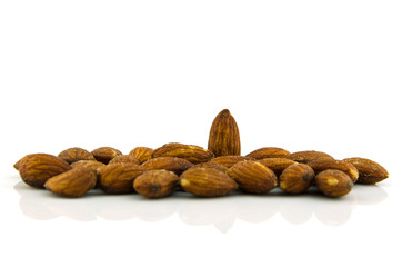 almond on isolate background