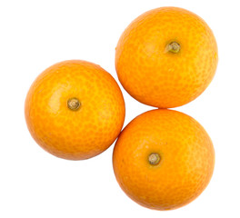 Fresh kumquat fruits over white background