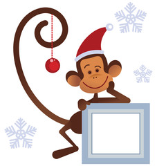 Merry Christmas  monkey