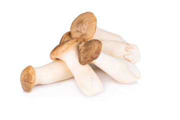 King Oyster mushroom on white backgroud.