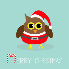 Cute owl in Santa Claus costume, hat. Snowflakes. Merry Christmas Card. Flat design.