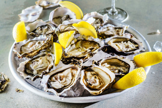 Opened Oysters