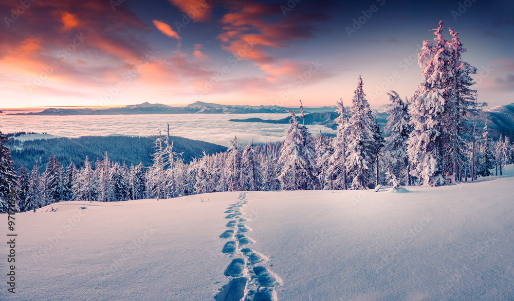 Wall mural Foggy winter sunrise in the snowy mountain