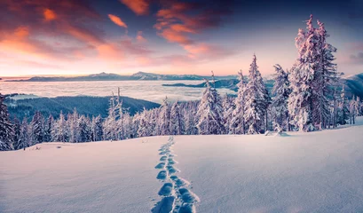 Tuinposter Mistige winterzonsopgang in de besneeuwde berg © Andrew Mayovskyy