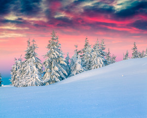Colorful winter scene in the snowy mountains.