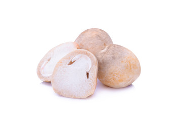 Volvariella volvacea, Straw Mushroom on white background