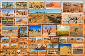 Desert pictures collage