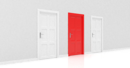 3d door render vote concept