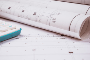 The development of technology project