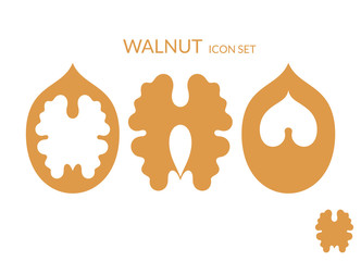 Walnut. Icon set  