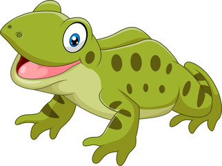 Cartoon funny frog sitting isolated on white background