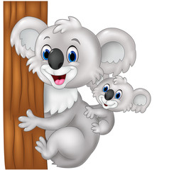 Fototapeta premium Cartoon funny baby koala on mother's back embracing tree