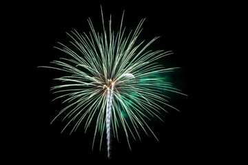 Colorful fireworks over dark sky © jat306
