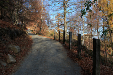 sentiero verso il rifugio Martina e il monte San Primo, nel triangolo Lariano