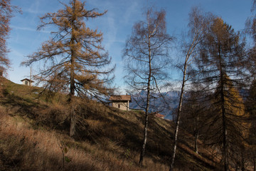 paesaggio nei pressi del rifugio Martina - monte San Primo, nel triangolo Lariano