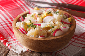 potato salad with radish and mayonnaise in a bowl close-up
