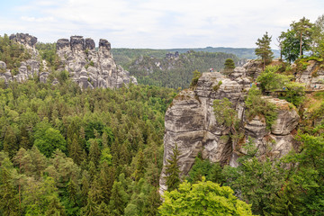 Fototapeta na wymiar a beautiful view of the river Elbe from a height beautiful forest Saxon Switzerland. Reserve Bastei.