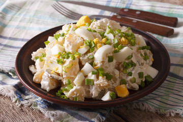 Traditional potato salad close-up on a plate. horizontal