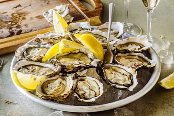 Opened Oysters